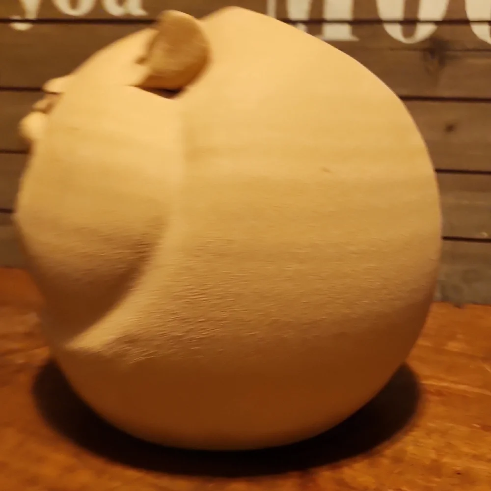 Fat Cat Piggy Bank